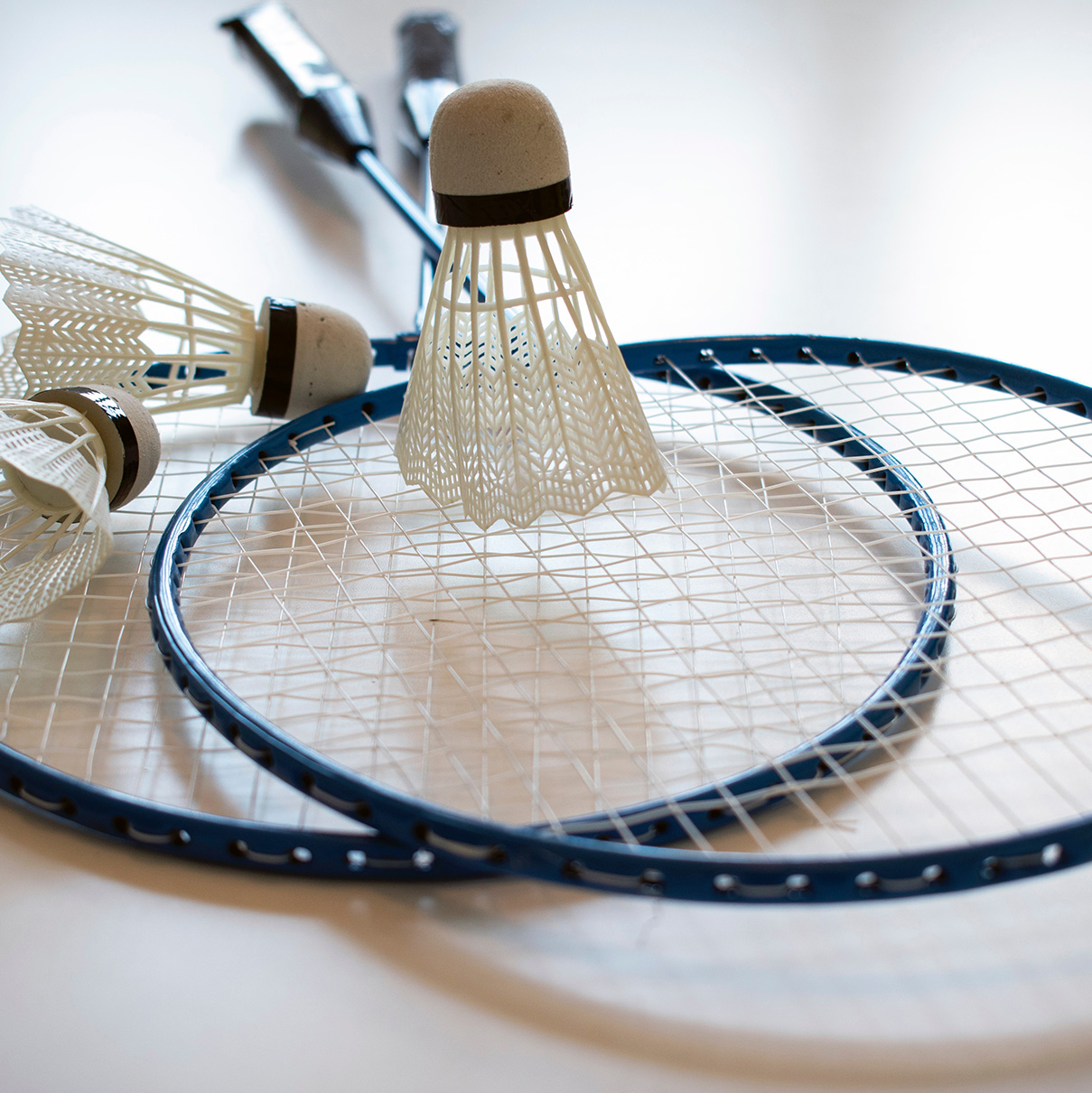 Thumbnail content for 'Badminton Doubles Tournament'