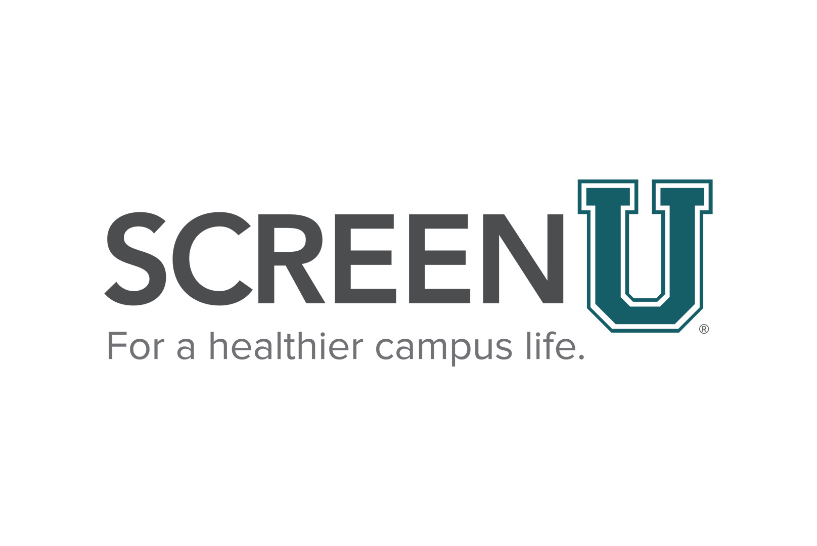 Image for ScreenU Tools page
