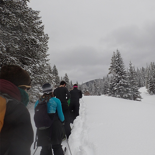 Thumbnail content for 'Spring Break Colorado Ice Climbing and Snowshoeing'