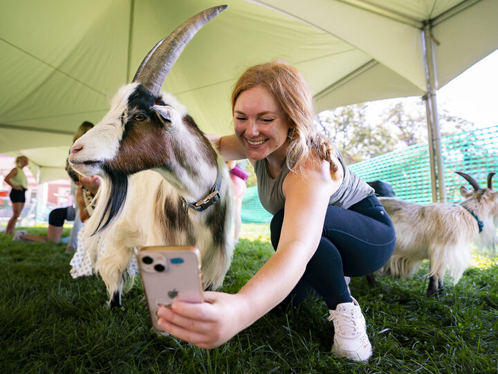 person taking picture with goat at goat yoga