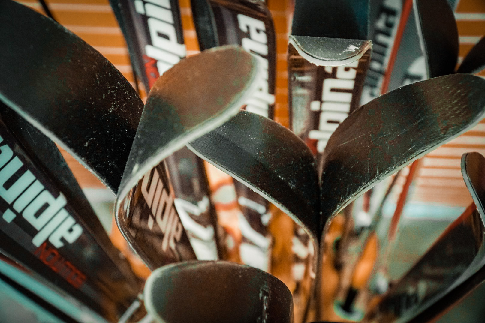 Rental snow skis sit in a container.