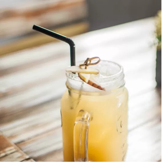 Portrait of Apple Ginger Fizz 