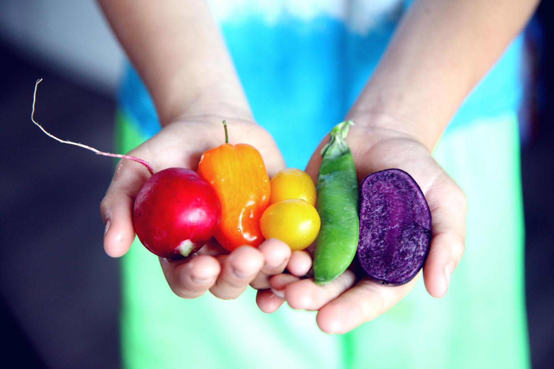 Person with a beet, pepper, tomatoes, and pea pod in their hands