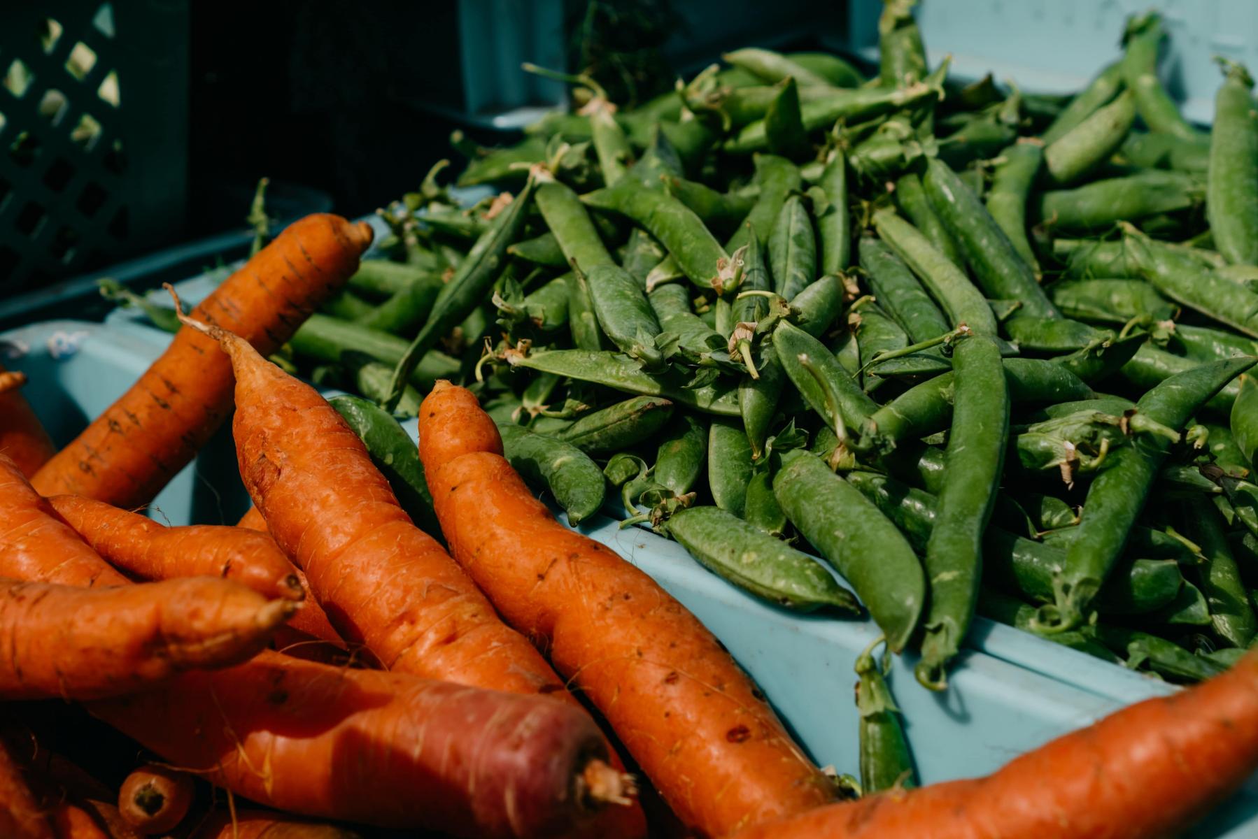 Carrots and pea pods on a table